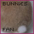 bunniesfl.jpg