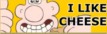 cheesefl.jpg