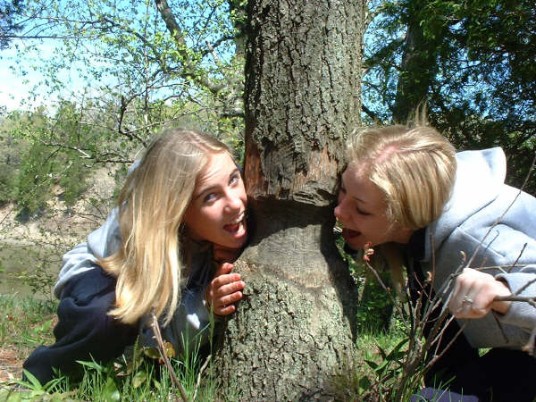 chewtree1.jpg