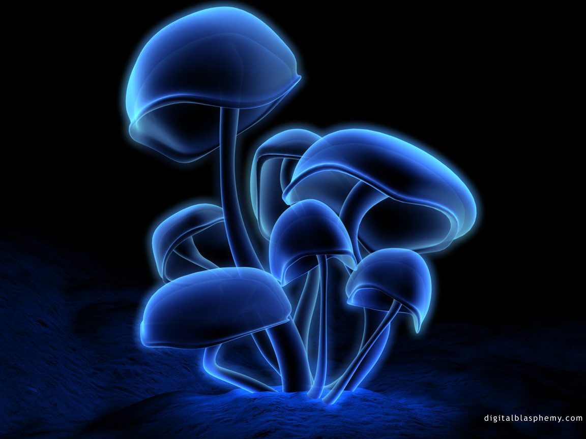 mushrooms.jpg