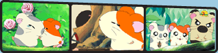 shows_episode_1.gif